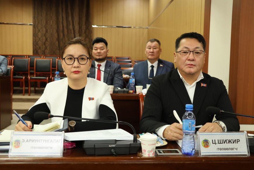 Сүхбаатар дүүргийн ИТХ-ын төлөөлөгч Э.Ариунтунгалагийн ажлын тайлан- 2023