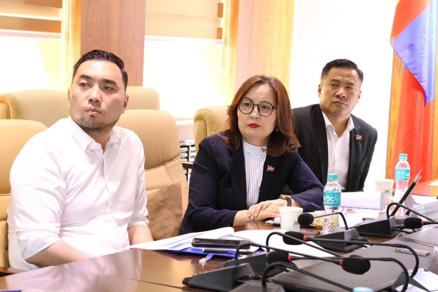 Дэм дэмэндээ дүүргээ хөгжүүлье