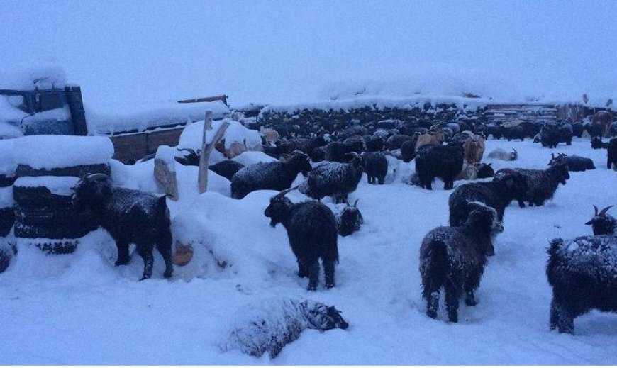 УОК: Нийт найман аймагт төмөр зудтай байна
