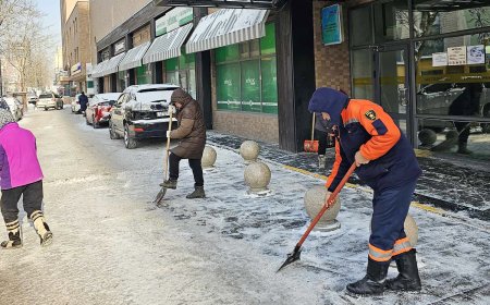 Цагаан сарыг угтан бүх нийтийн их цэвэрлэгээний аян эхлүүллээ