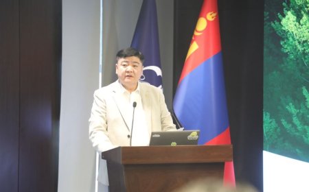 БОУАӨ-ийн сайд Ц.Сандаг-Очир: Ойн салбарт тохирсон ногоон санхүүжилтийн тогтолцоо бүрдүүлэх шаардлагатай