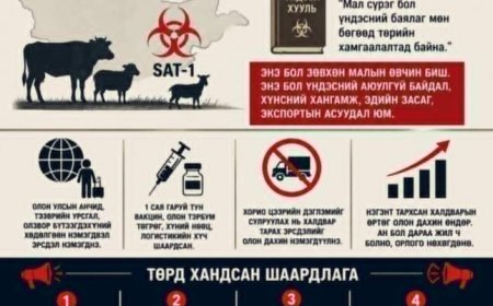 SAT-1 ШҮЛХИЙН ЭРСДЭЛ БА ТӨРИЙН ХАРИУЦЛАГА
