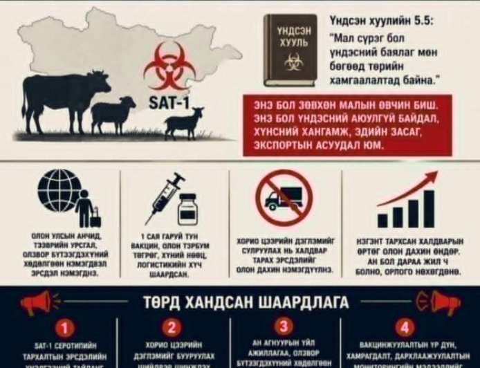 SAT-1 ШҮЛХИЙН ЭРСДЭЛ БА ТӨРИЙН ХАРИУЦЛАГА