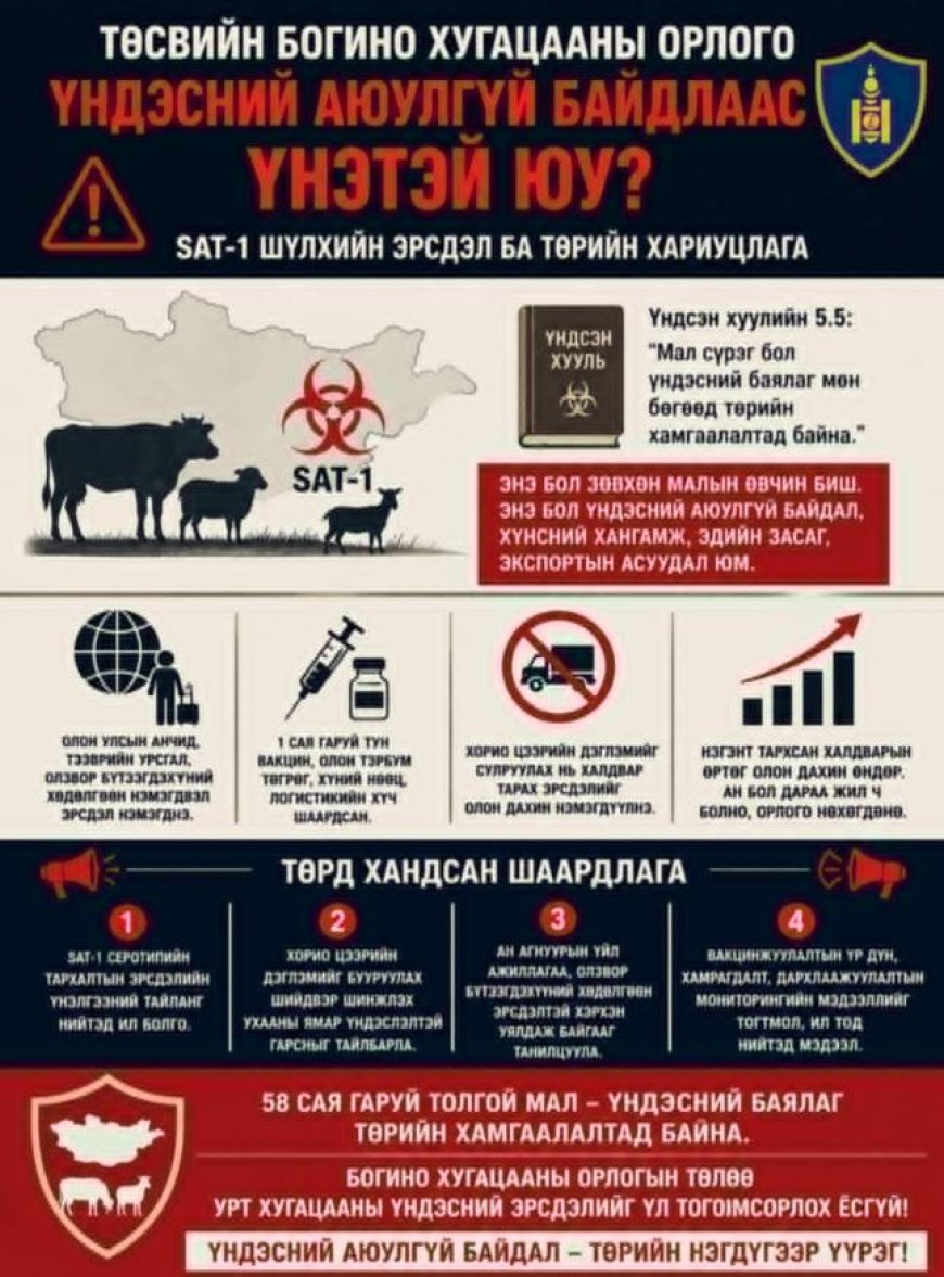 SAT-1 ШҮЛХИЙН ЭРСДЭЛ БА ТӨРИЙН ХАРИУЦЛАГА